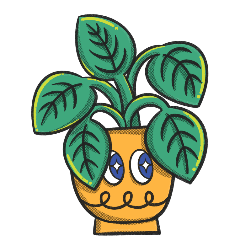 Fuzzy Farmhouse B