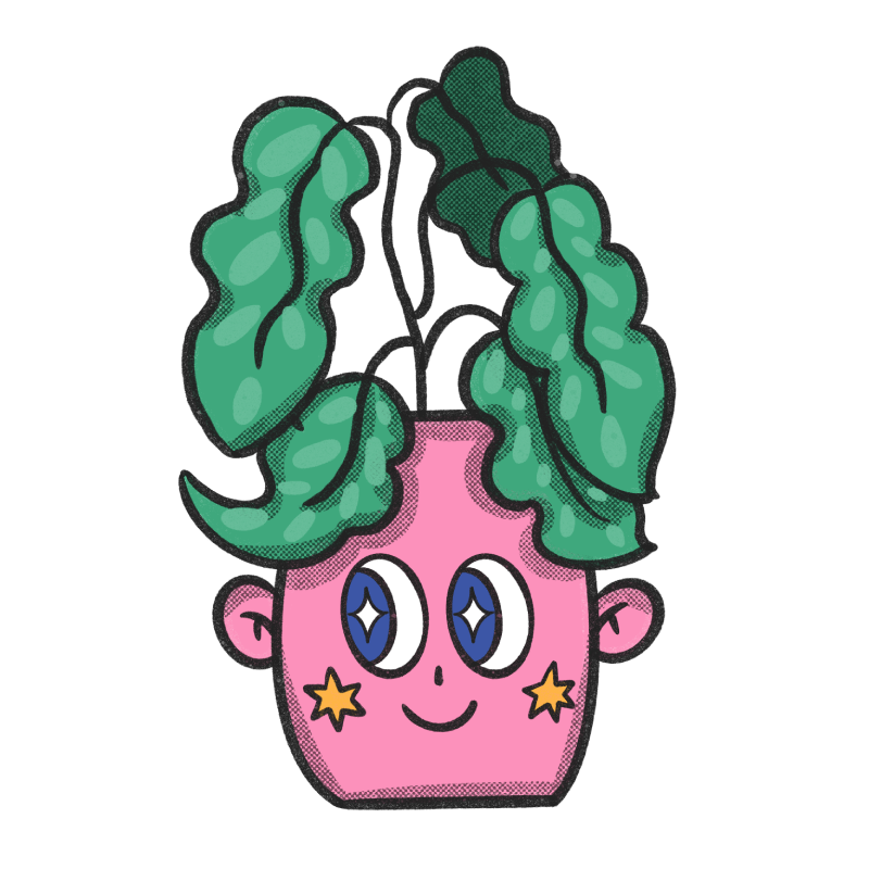 Plants are Friends A